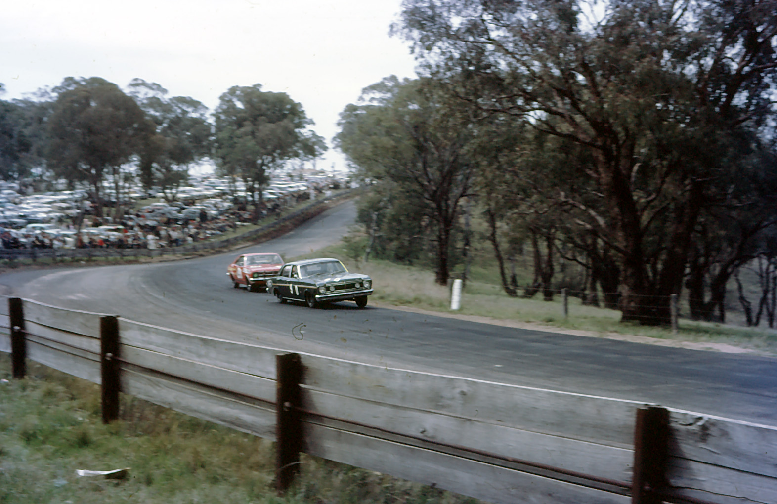 Two touring cars, a dark green Ford Falcon and a red saloon, negotiate a sweeping bend at Mount Panorama, Bathurst. Spectators and parked cars line the hillside beyond the circuit, while a wooden safety barrier runs along the foreground and eucalyptus trees frame the scene.